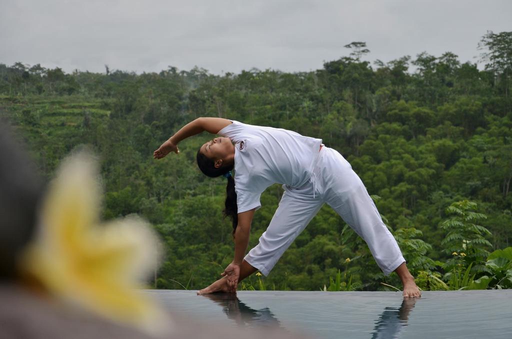 Puri Sebatu Resort Seribatu Ngoại thất bức ảnh