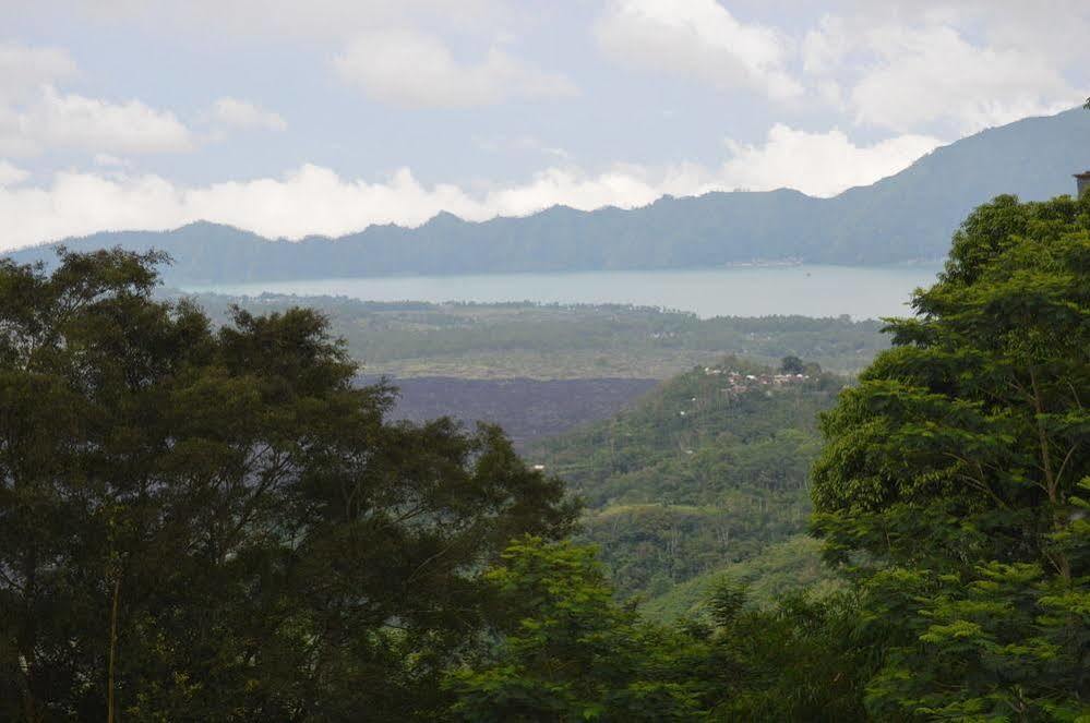 Puri Sebatu Resort Seribatu Ngoại thất bức ảnh