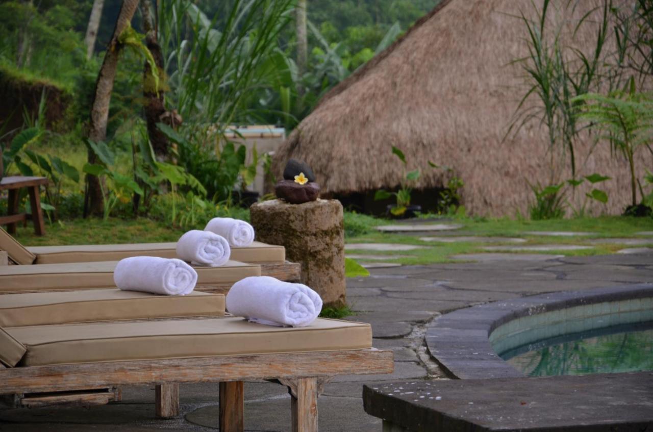 Puri Sebatu Resort Seribatu Ngoại thất bức ảnh